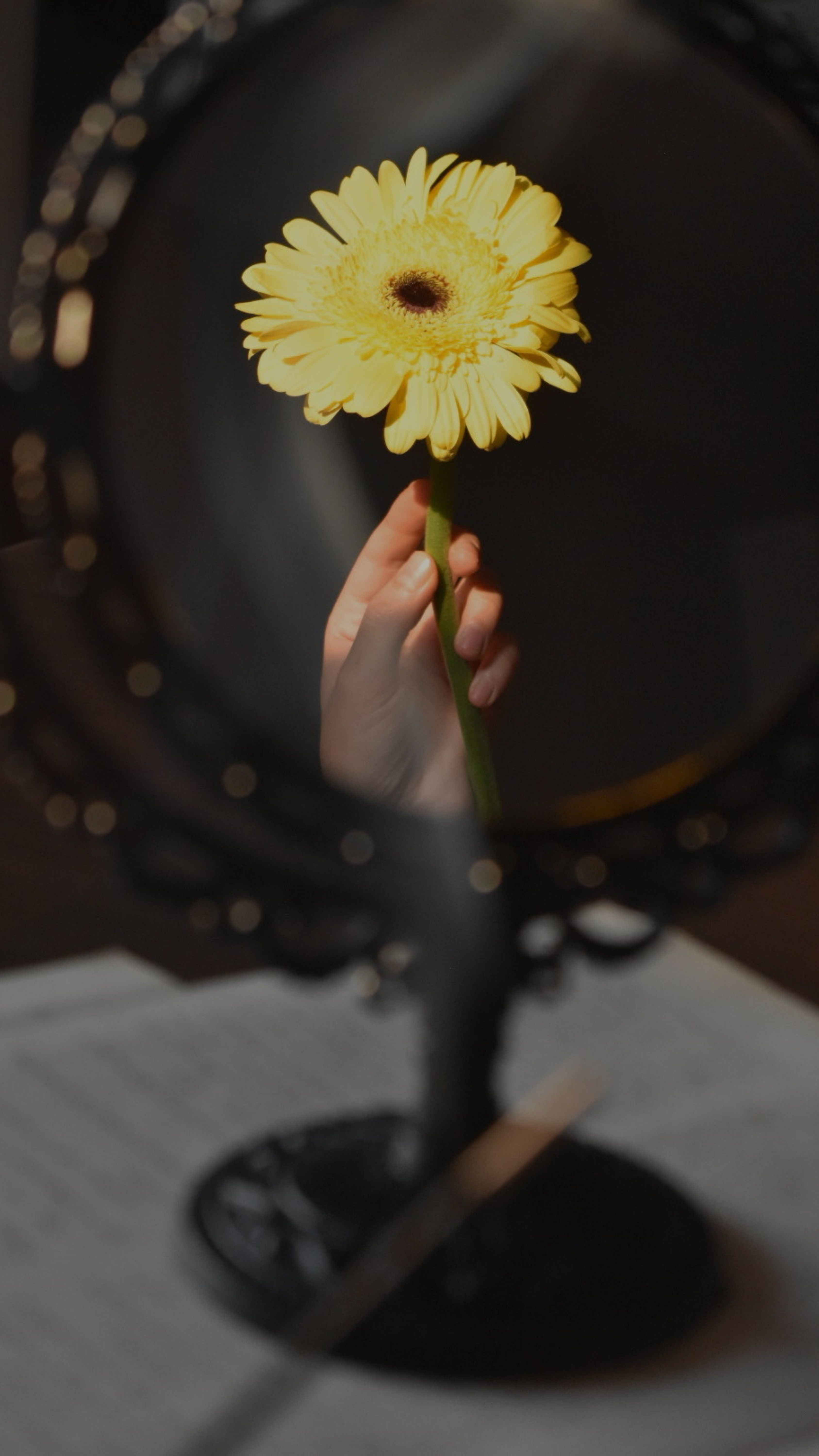 Gelbe Blume in der Hand – Dein persönlicher Plan