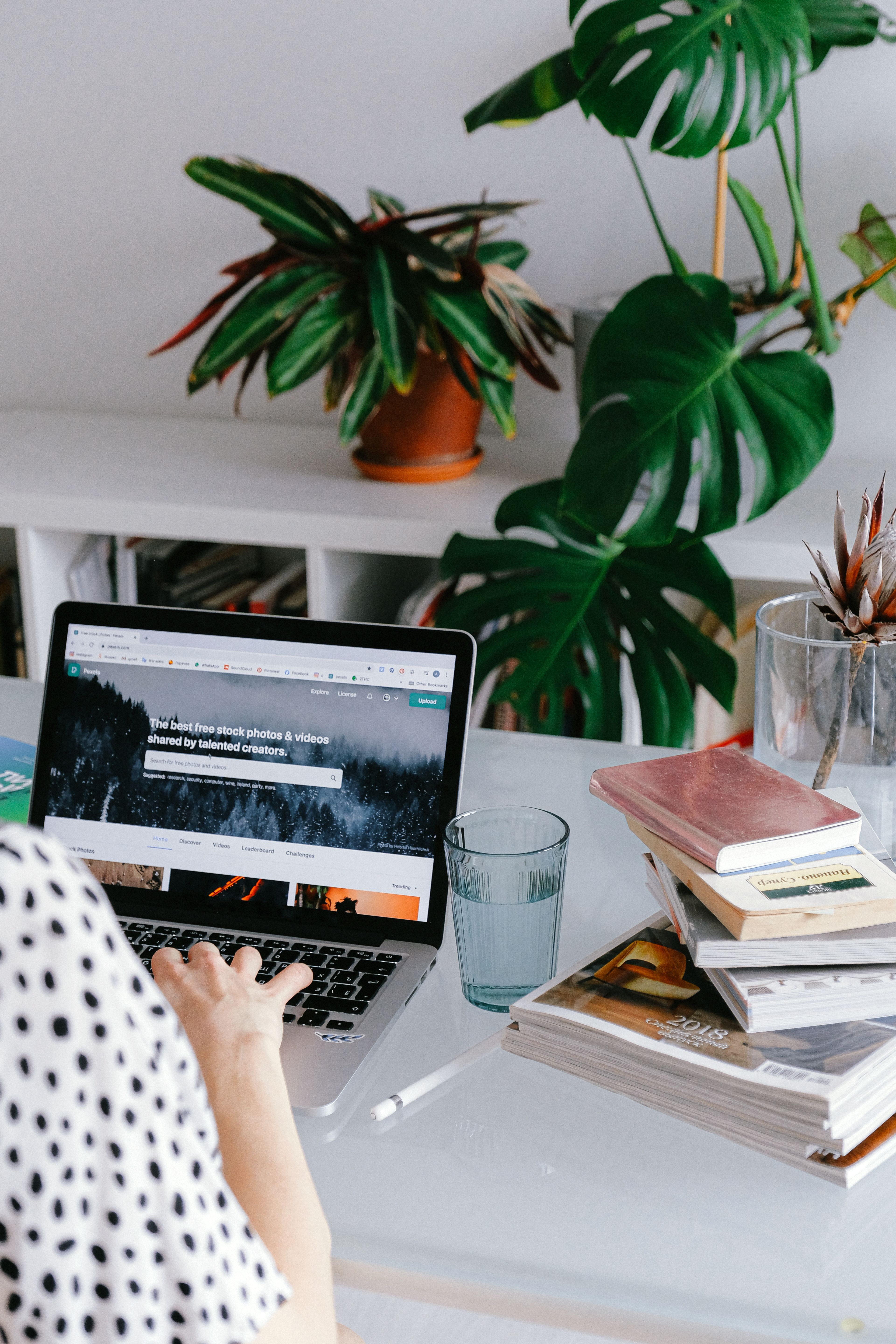 Laptop mit Pflanzen – Recherche und Wissen
