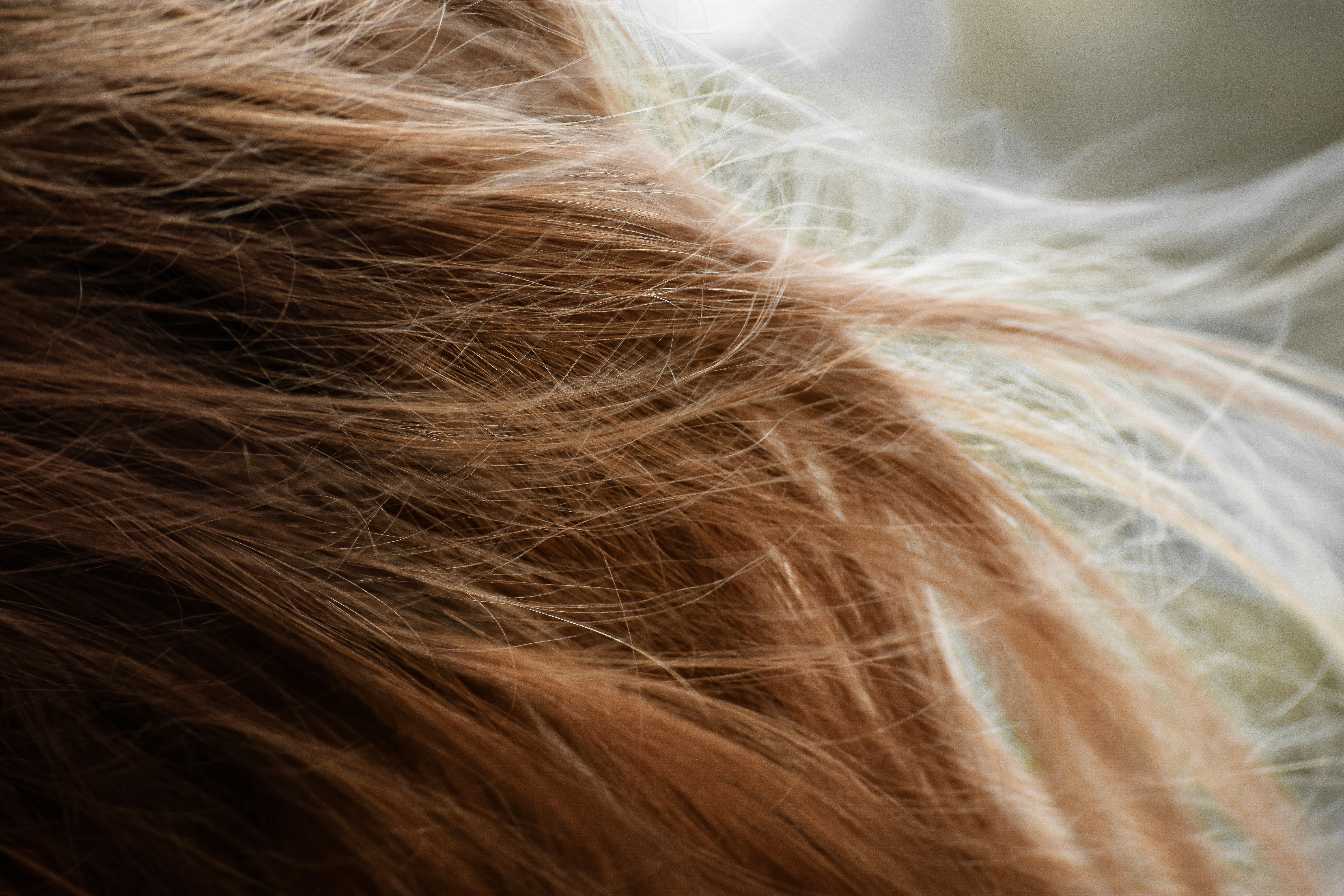 Frau mit wehendem Haar – Hormongesundheit