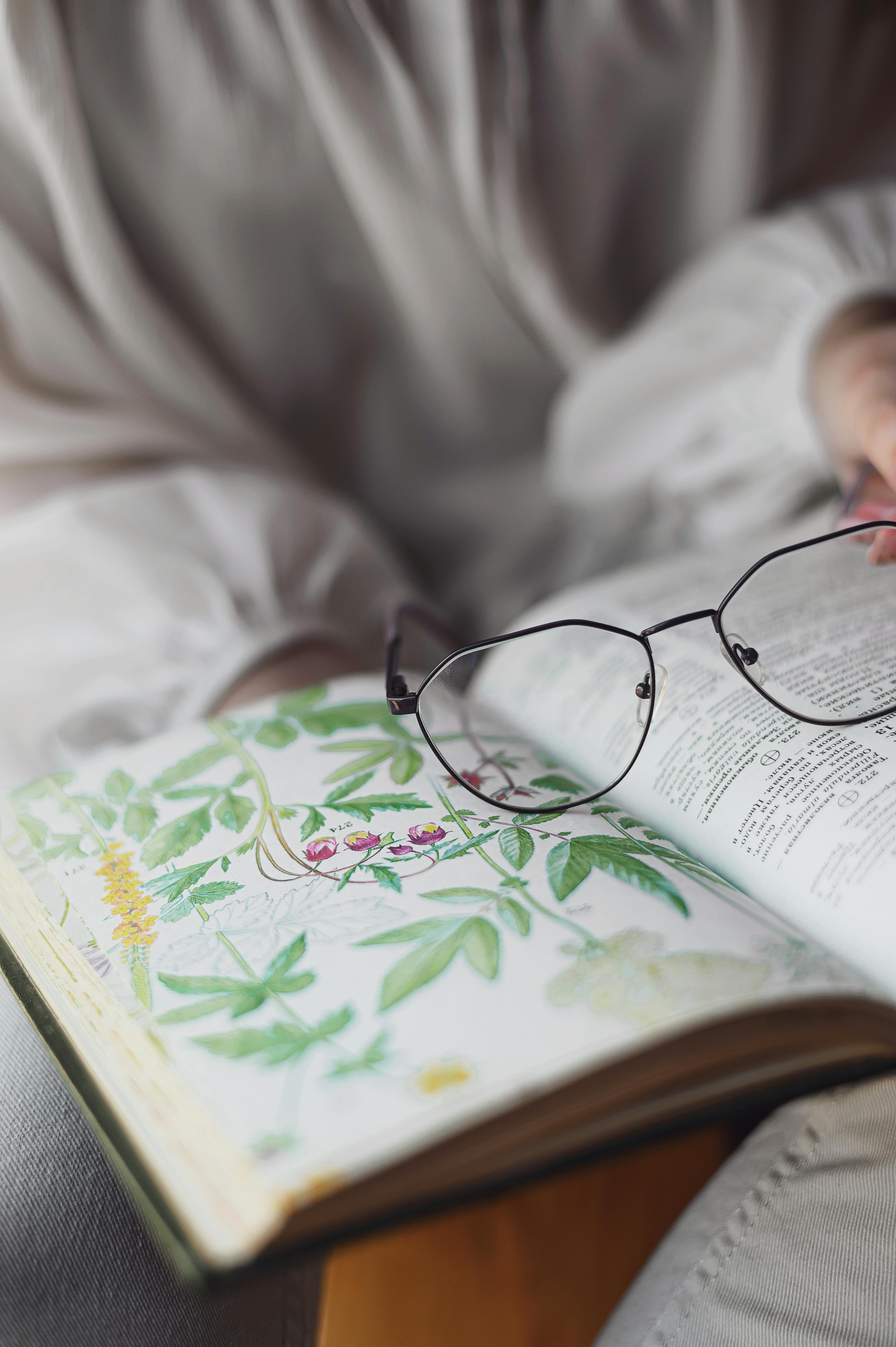 Botanisches Notizbuch – ganzheitliche Anamnese