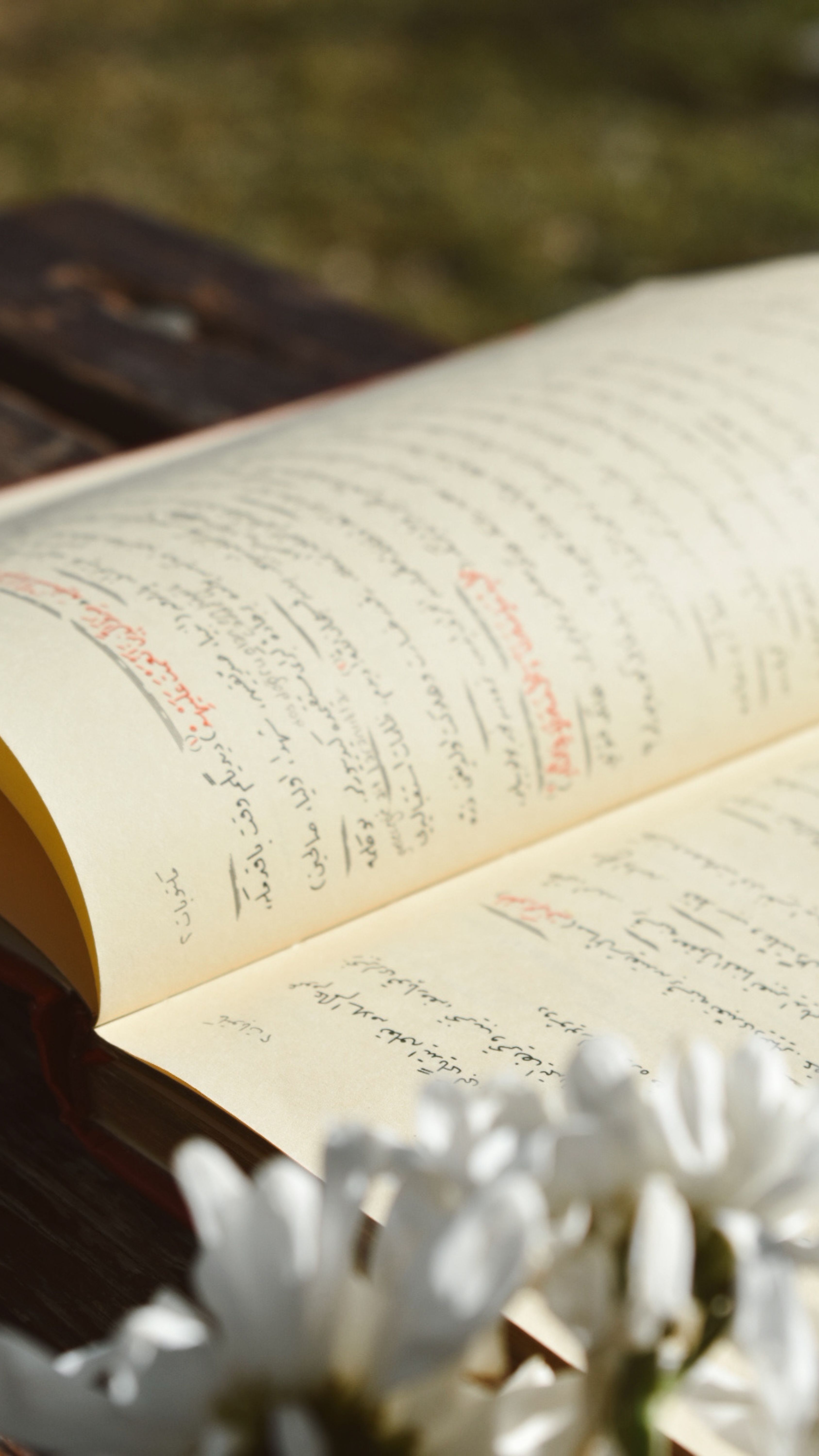 Aufgeschlagenes Buch mit botanischen Notizen